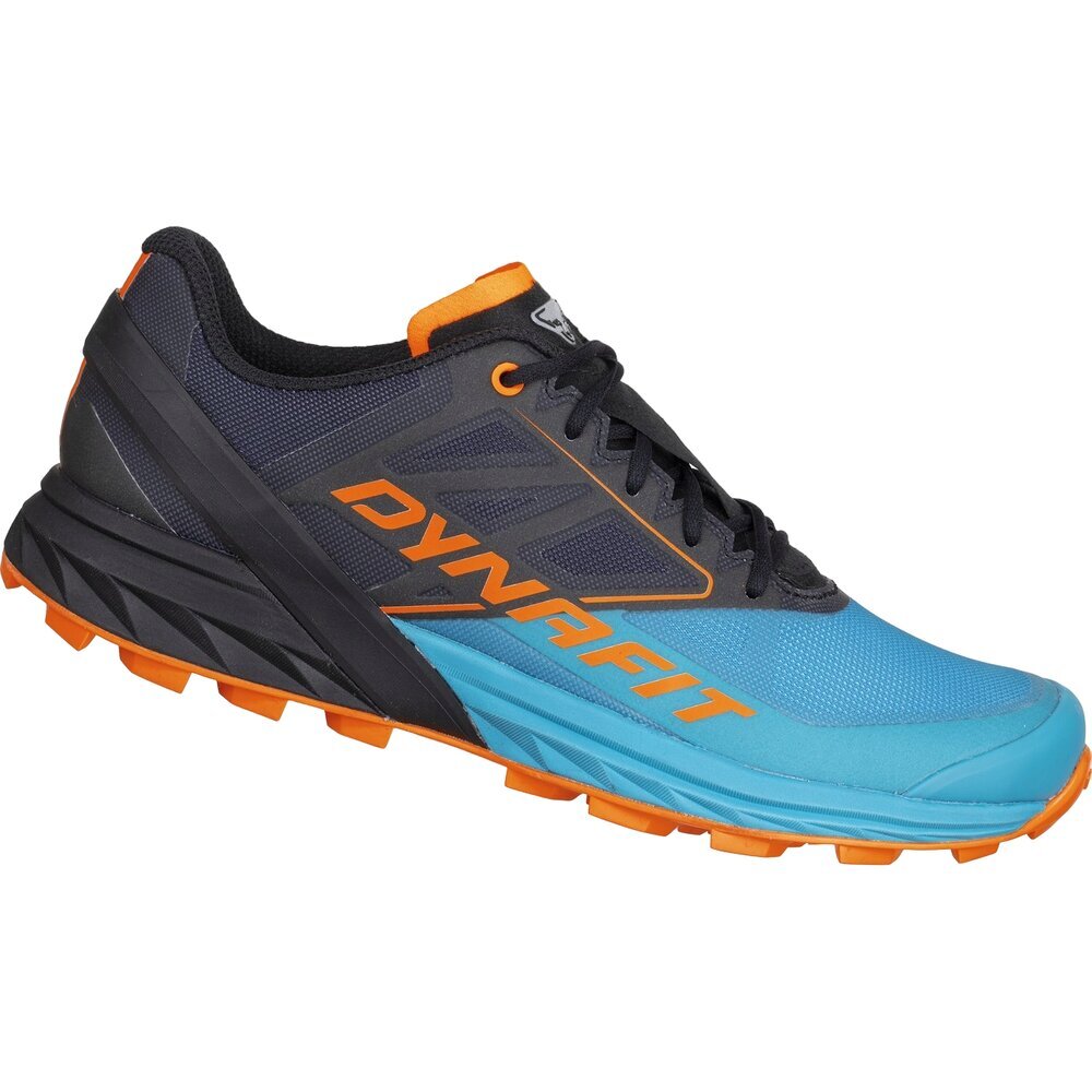 Sportiniai batai moterims Dynafit 64065 8208, mėlyni kaina ir informacija | Sportiniai bateliai, kedai moterims | pigu.lt