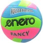 Tinklinio kamuolys Enero, 5 dydis, įvairių spalvų цена и информация | Tinklinio kamuoliai | pigu.lt