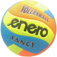 Мяч для волейбола Enero r.5 цена и информация | Волейбольные мячи | pigu.lt