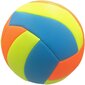 Tinklinio kamuolys Enero, 5 dydis kaina ir informacija | Tinklinio kamuoliai | pigu.lt