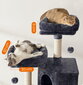 Draskyklė katėms PCT141G01, pilka kaina ir informacija | Draskyklės | pigu.lt