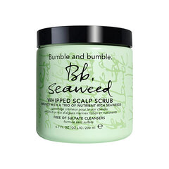 Скраб для кожи головы Bumble and bumble Seaweed, 200 мл цена и информация | Средства для укрепления волос | pigu.lt