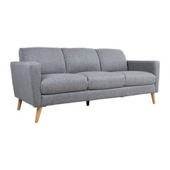 Sofa Home4you Kaili, 200x83x84 cm, pilka цена и информация | Диваны | pigu.lt