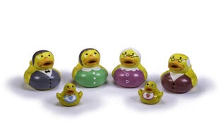 Ančių šeimynėlė Green Rubber Toys, 6d. kaina ir informacija | Žaislai kūdikiams | pigu.lt