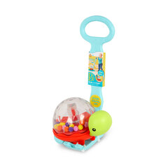 B. TOYS Развивающая игрушка Черепашка цена и информация | Игрушки для малышей | pigu.lt
