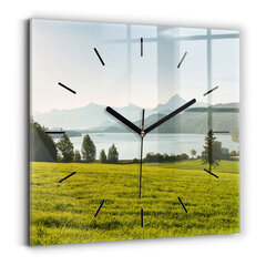 Sieninis laikrodis Kalnai Ir Laukas kaina ir informacija | Laikrodžiai | pigu.lt