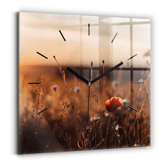 Sieninis laikrodis Saulėtekio Laukas kaina ir informacija | Laikrodžiai | pigu.lt