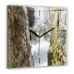 Sieninis laikrodis Roko Miestas Čekijoje цена и информация | Часы | pigu.lt