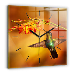 Sieninis laikrodis Paukščių Kolibris kaina ir informacija | Laikrodžiai | pigu.lt