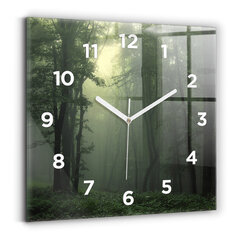 Sieninis laikrodis Foggy Miškas Ryte kaina ir informacija | Laikrodžiai | pigu.lt