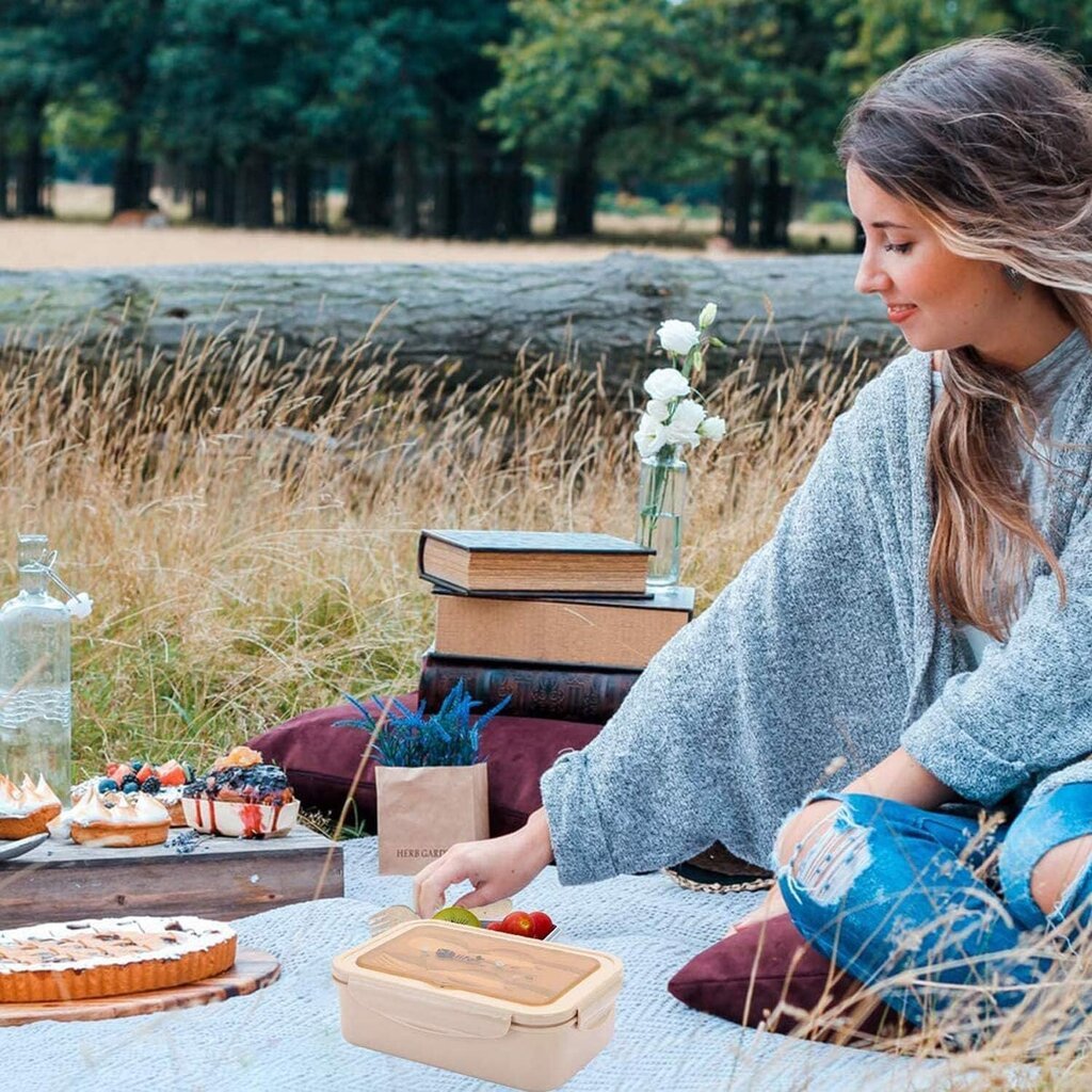 Bento priešpiečių dėžutė su 3 skyreliais, 1000 ml + šakutė + šaukštas kaina ir informacija | Maisto saugojimo  indai | pigu.lt