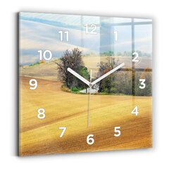 Sieninis laikrodis Moravijos Šalies Kraštovaizdis kaina ir informacija | Laikrodžiai | pigu.lt