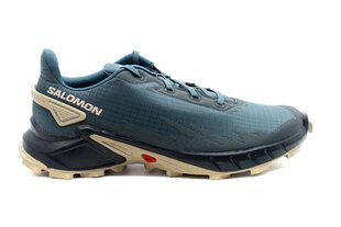 Sportiniai batai vyrams Salomon 471166 35, mėlyni kaina ir informacija | Kedai vyrams | pigu.lt