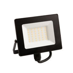 Lauko prožektorius Eco Light, 30W, LED kaina ir informacija | Lauko šviestuvai | pigu.lt