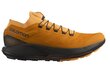 Sportiniai batai vyrams Salomon 417269 27, rudi цена и информация | Kedai vyrams | pigu.lt