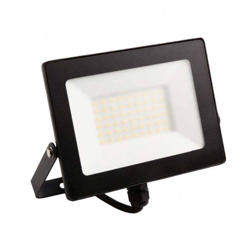Lauko prožektorius Eco Light, 50W, LED kaina ir informacija | Lauko šviestuvai | pigu.lt