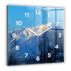 Sieninis laikrodis Kalnų Vaizdas kaina ir informacija | Laikrodžiai | pigu.lt