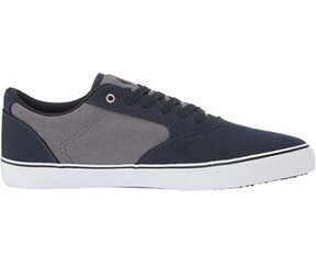 Sportiniai batai moterims Etnies 4101000510/407, mėlyni цена и информация | Спортивная обувь, кроссовки для женщин | pigu.lt