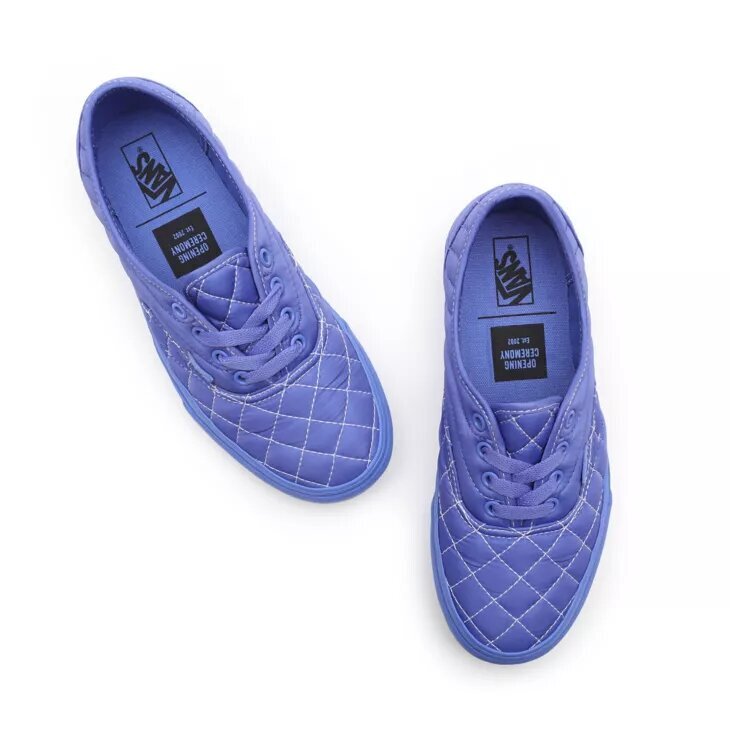Sportiniai batai moterims Vans VN0A5HV3ZQ0, mėlyni kaina ir informacija | Sportiniai bateliai, kedai moterims | pigu.lt