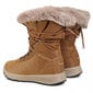 Žieminiai batai moterims Columbia BL0146-286, rudi kaina ir informacija | Aulinukai, ilgaauliai batai moterims | pigu.lt
