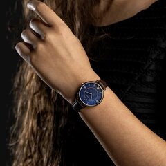 Laikrodis Emily Westwood EDW-BS003Q18R цена и информация | Женские часы | pigu.lt