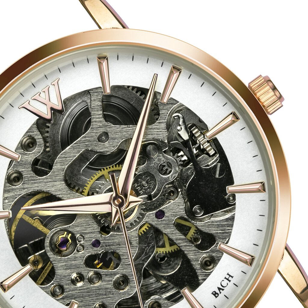 Laikrodis Walter Bach WDD-4218RQ kaina ir informacija | Moteriški laikrodžiai | pigu.lt