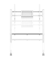 Neomounts FL50-525wh1 55-86” цена и информация | Кронштейны и крепления для телевизоров | pigu.lt