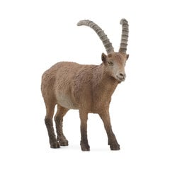 Kalnų ožio Ibex figūrėlė Wild Life Schleich, ruda цена и информация | Игрушки для мальчиков | pigu.lt