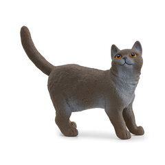 Britų trumpaplaukės katės figūrėlė Farm World Schleich, mėlyna kaina ir informacija | Žaislai berniukams | pigu.lt