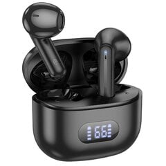 Borofone TWS Bluetooth Earphones BW53 Elegant black цена и информация | Наушники | pigu.lt