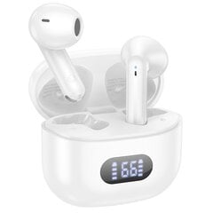 Borofone TWS Bluetooth Earphones BW53 Elegant white цена и информация | Теплая повязка на уши, черная | pigu.lt
