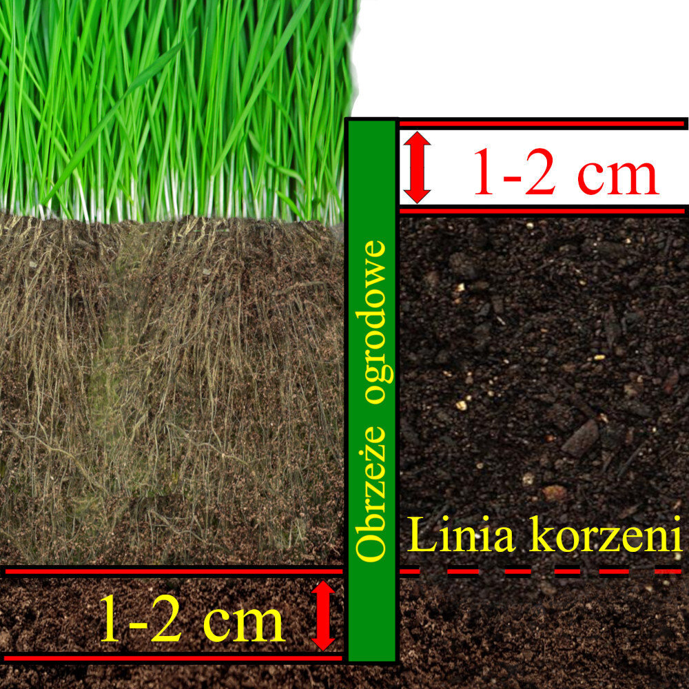 Sodo užtvara Palisada 10 cm x 10 m цена и информация | Tvoros ir jų priedai | pigu.lt