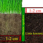 Sodo užtvara Palisada 10 cm x 10 m kaina ir informacija | Tvoros ir jų priedai | pigu.lt