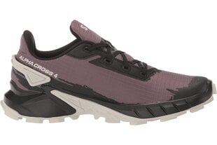 Sportiniai batai moterims Salomon 417252 21, violetiniai цена и информация | Спортивная обувь, кроссовки для женщин | pigu.lt