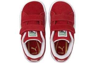 Sportiniai batai berniukams Puma 380564 02, raudoni kaina ir informacija | Sportiniai batai vaikams | pigu.lt