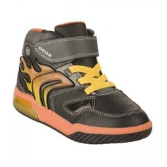 Sportiniai batai berniukams Geox J949cc 0bu11 c0038, rudi kaina ir informacija | Sportiniai batai vaikams | pigu.lt