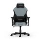 Žaidimų kėdė DXracer Drifting, juoda/pilka kaina ir informacija | Biuro kėdės | pigu.lt