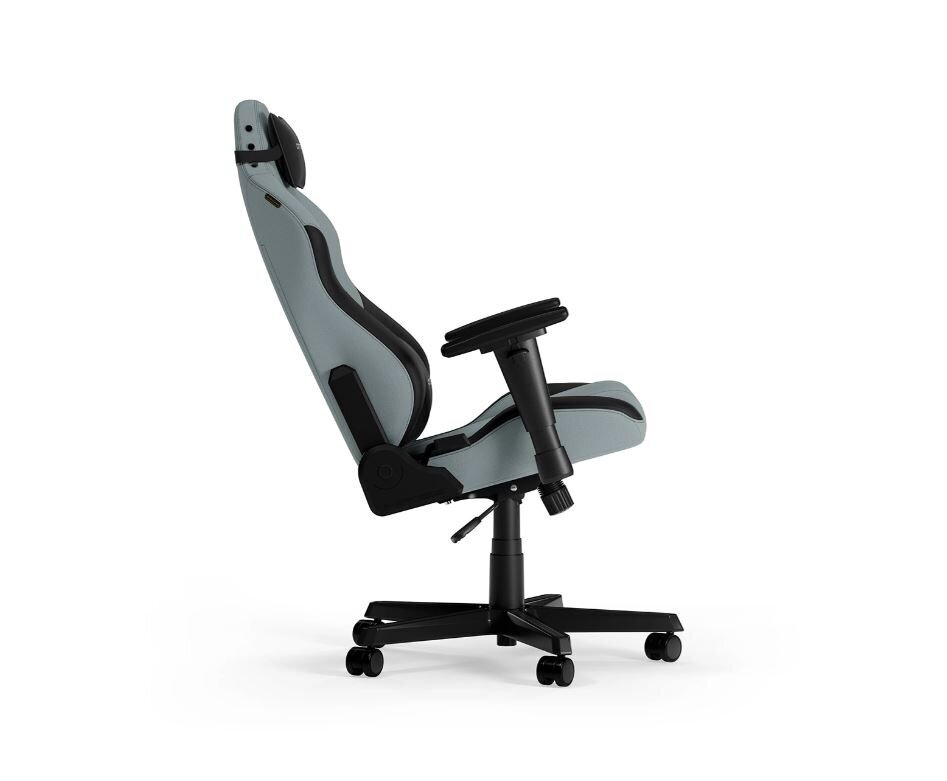 Žaidimų kėdė DXracer Drifting, juoda/pilka kaina ir informacija | Biuro kėdės | pigu.lt