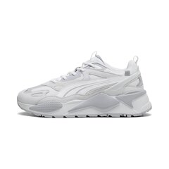 Cпортивная обувь PUMA RS-X Efekt PRM 390776224099686520076 цена и информация | Кроссовки мужские | pigu.lt