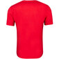 Champion marškinėliai vyrams 85225, raudoni цена и информация | Vyriški marškinėliai | pigu.lt