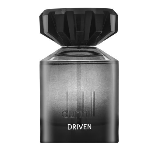 Kvapusis vanduo Dunhill Driven EDP vyrams, 100 ml цена и информация | Kvepalai vyrams | pigu.lt