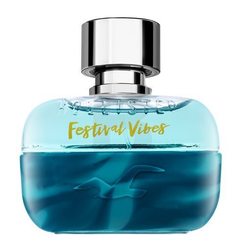 Tualetinis vanduo Hollister Festival Vibes For Him EDT vyrams, 100 ml kaina ir informacija | Kvepalai vyrams | pigu.lt