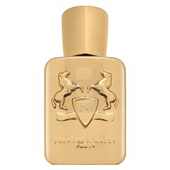 Parfums de Marly Godolphin eau de parfum for men 75 ml цена и информация | Мужские духи | pigu.lt