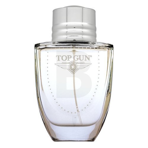 Tualetinis vanduo Top Gun Keep 'Em Flying! EDT vyrams, 100 ml цена и информация | Kvepalai vyrams | pigu.lt