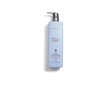 Plaukų kondicionierius L'ANZA Healing ColorCare De-Brassing Blue, 1000 ml kaina ir informacija | Balzamai, kondicionieriai | pigu.lt