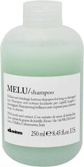 Plaukų šampūnas Davines Essential Haircare Melu Shampoo, pažeistiems plaukams, 250 ml kaina ir informacija | Šampūnai | pigu.lt