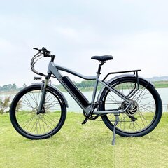 Elektrinis dviratis Cmacewheel F26, 29", pilkas kaina ir informacija | Elektriniai dviračiai | pigu.lt