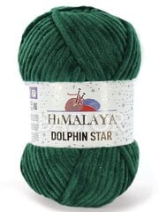 Siūlai Himalaya Dolphin Star 92131, 100 g, 120 m., žali kaina ir informacija | Mezgimui | pigu.lt