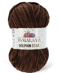 Siūlai Himalaya Dolphin Star 92166, 100 g, 120 m., rudi kaina ir informacija | Mezgimui | pigu.lt