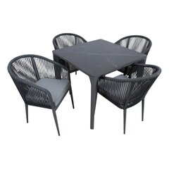 Garden furniture set CARVES table and 4 chairs цена и информация | Комплекты уличной мебели | pigu.lt